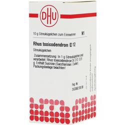 Eine Verpackung von Rhus toxicodendron D12 Streukügelchen.